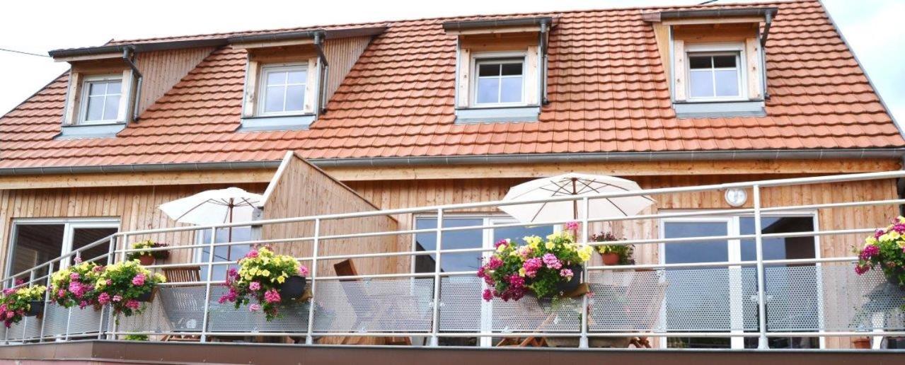 Gite Binnert Bader Nothalten Exterior foto