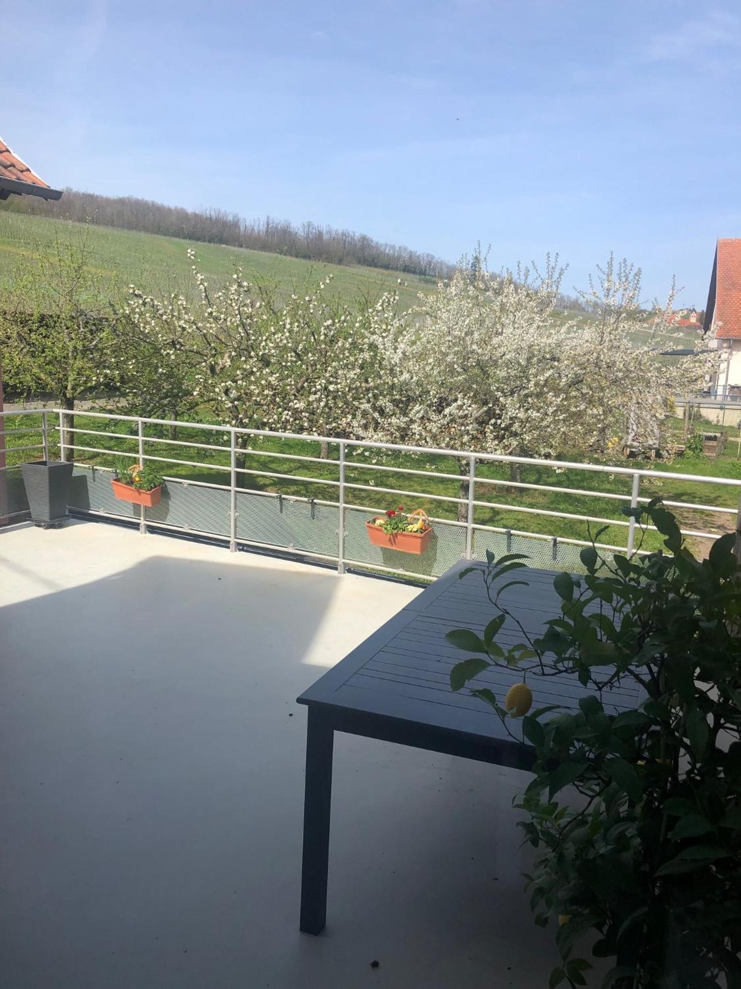 Gite Binnert Bader Nothalten Exterior foto